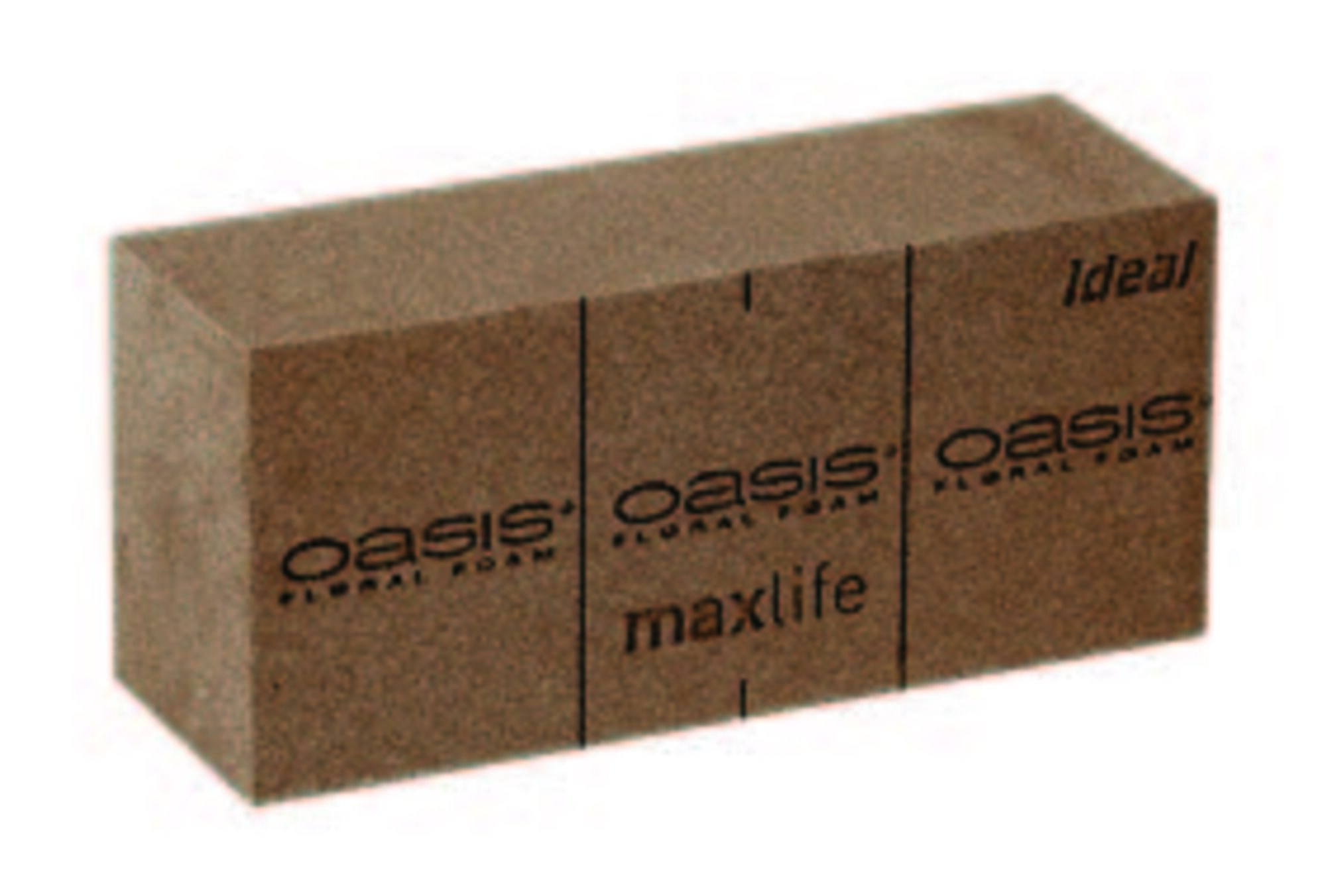 Oasis Naturebase BIO Floral Foam - afbreekbaar