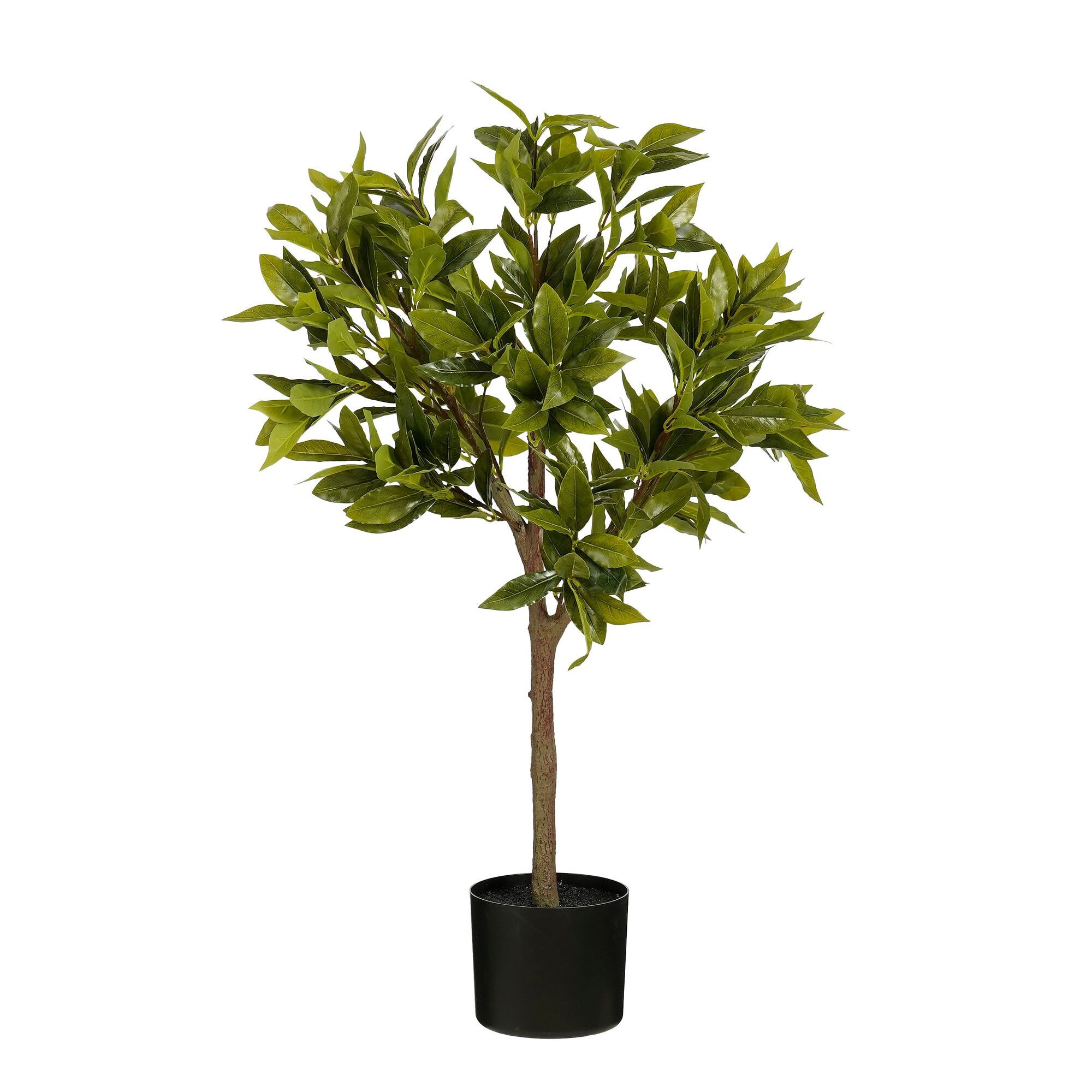 Laurier boom groen waterproof & UV resistant