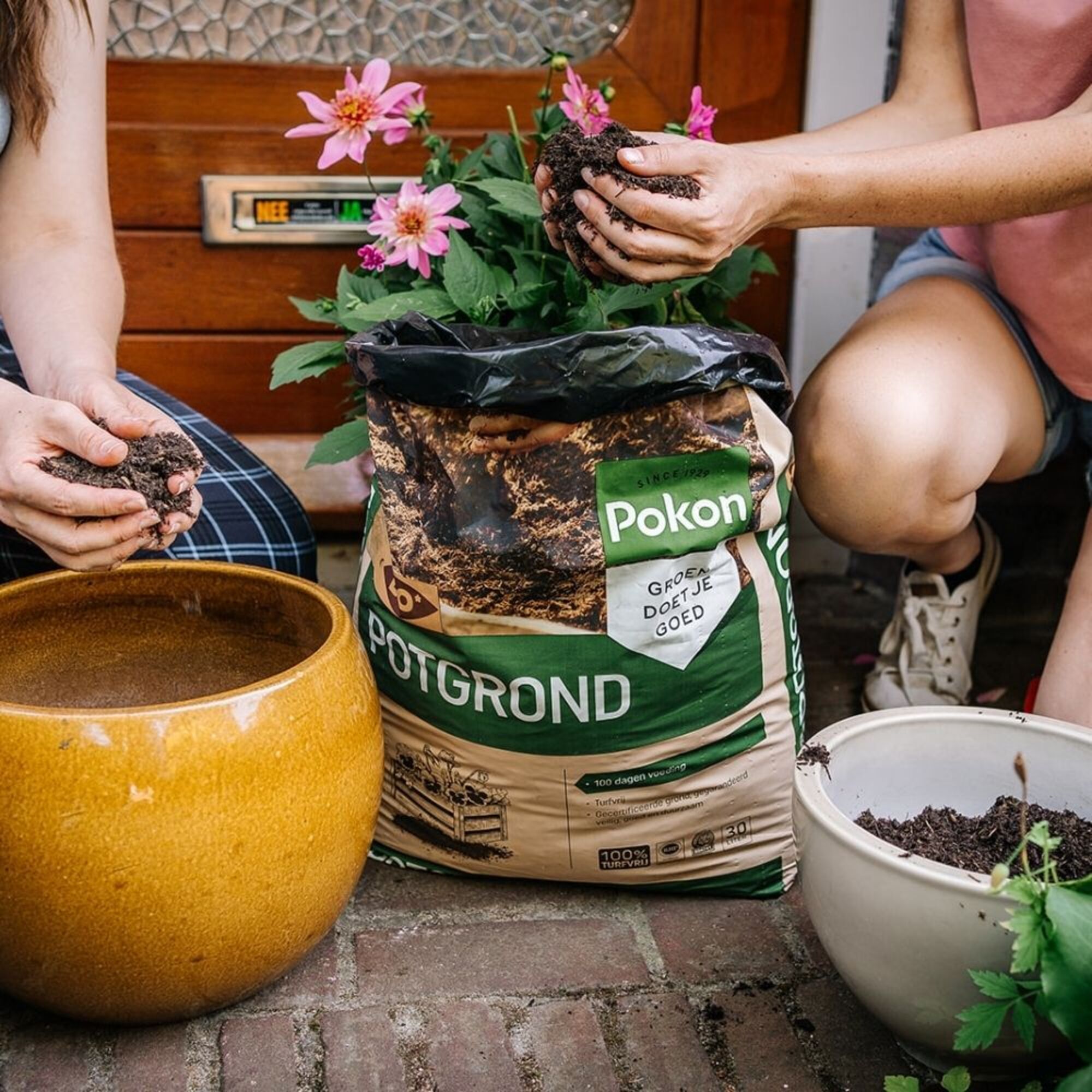 Pokon Bio Turfvrij Potgrond
