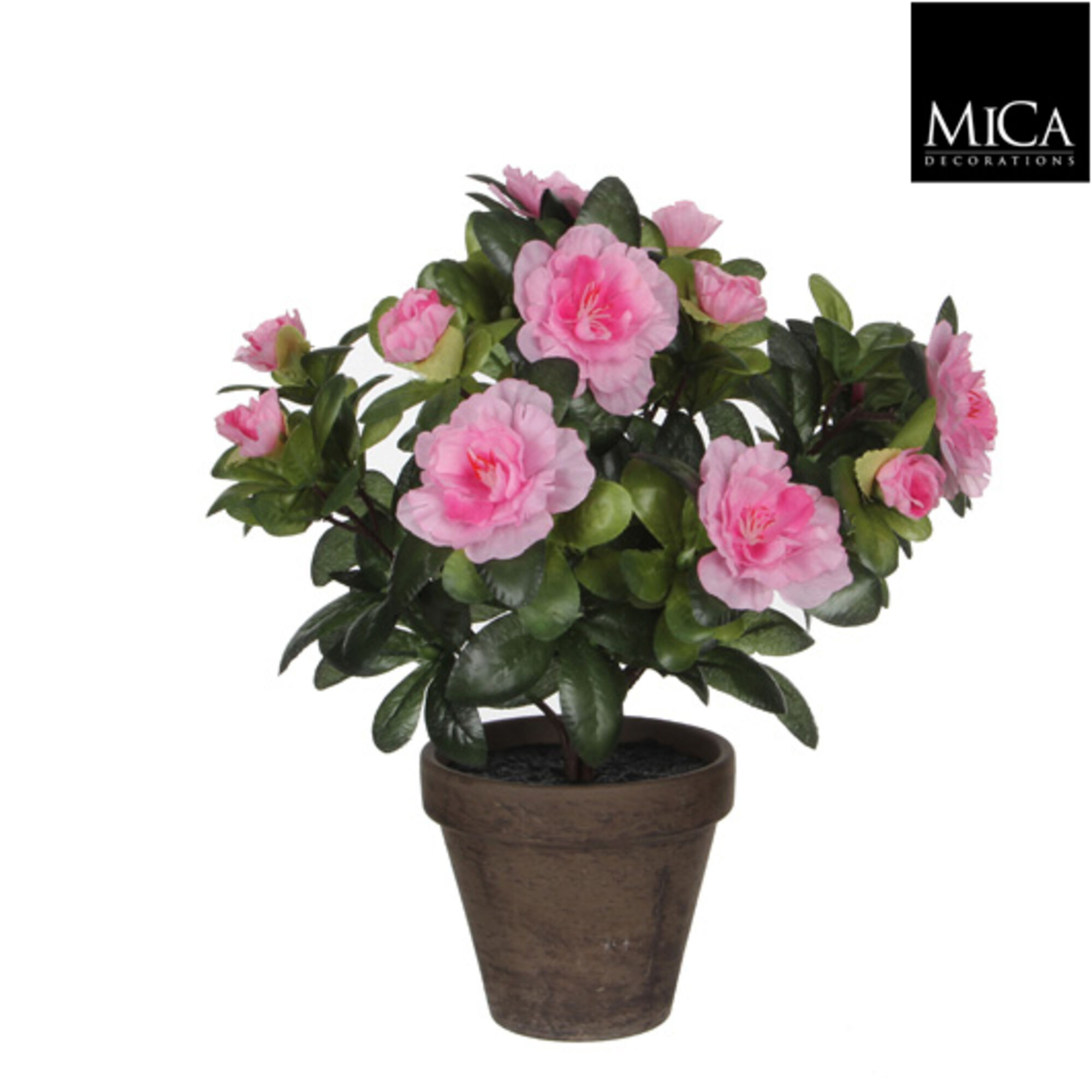 Azalea roze in pot Stan grijs d11,5cm