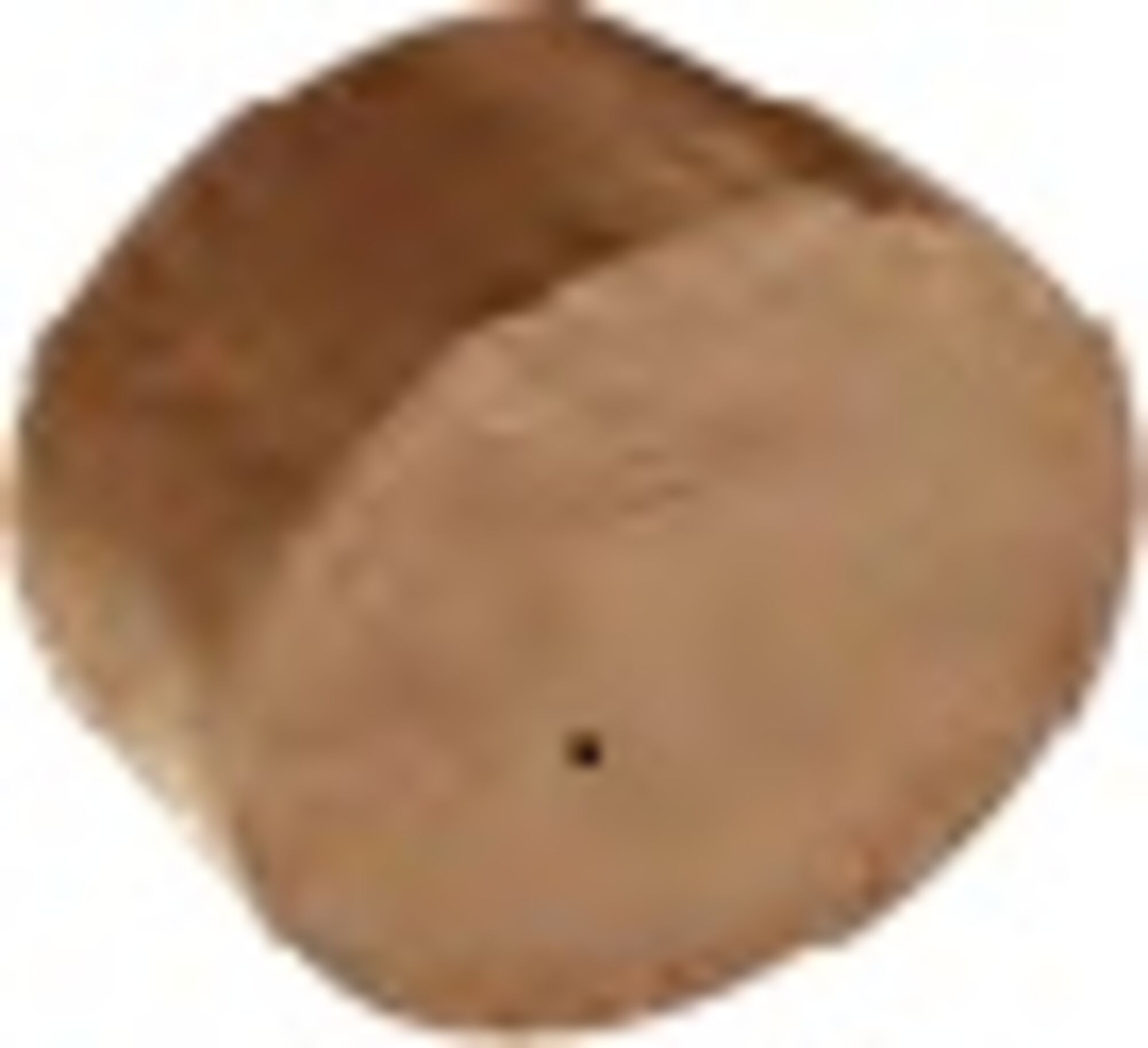 Ø 14 cm Oasis Bio Cilinder