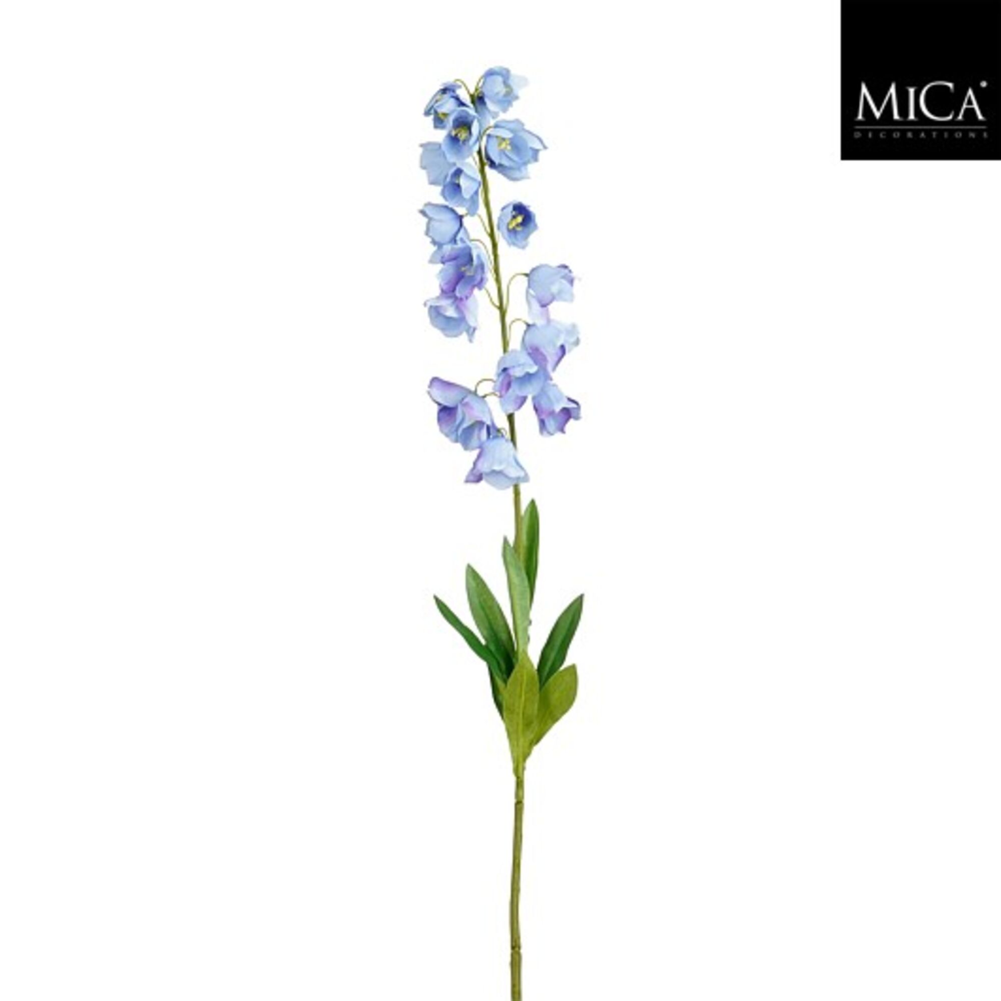 Campanula blauw