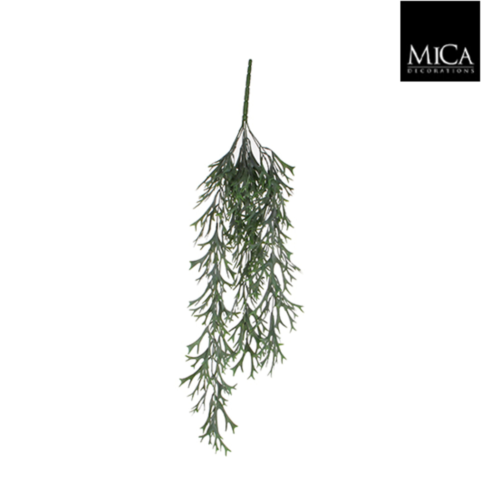 Citronella hangend groen