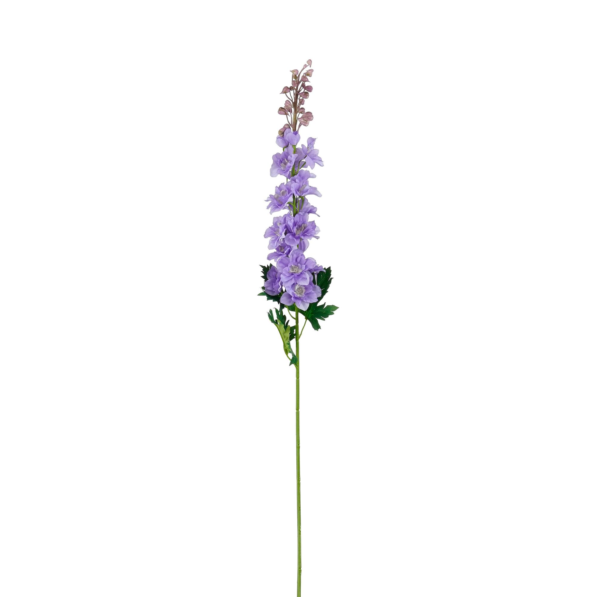 Delphinium paars