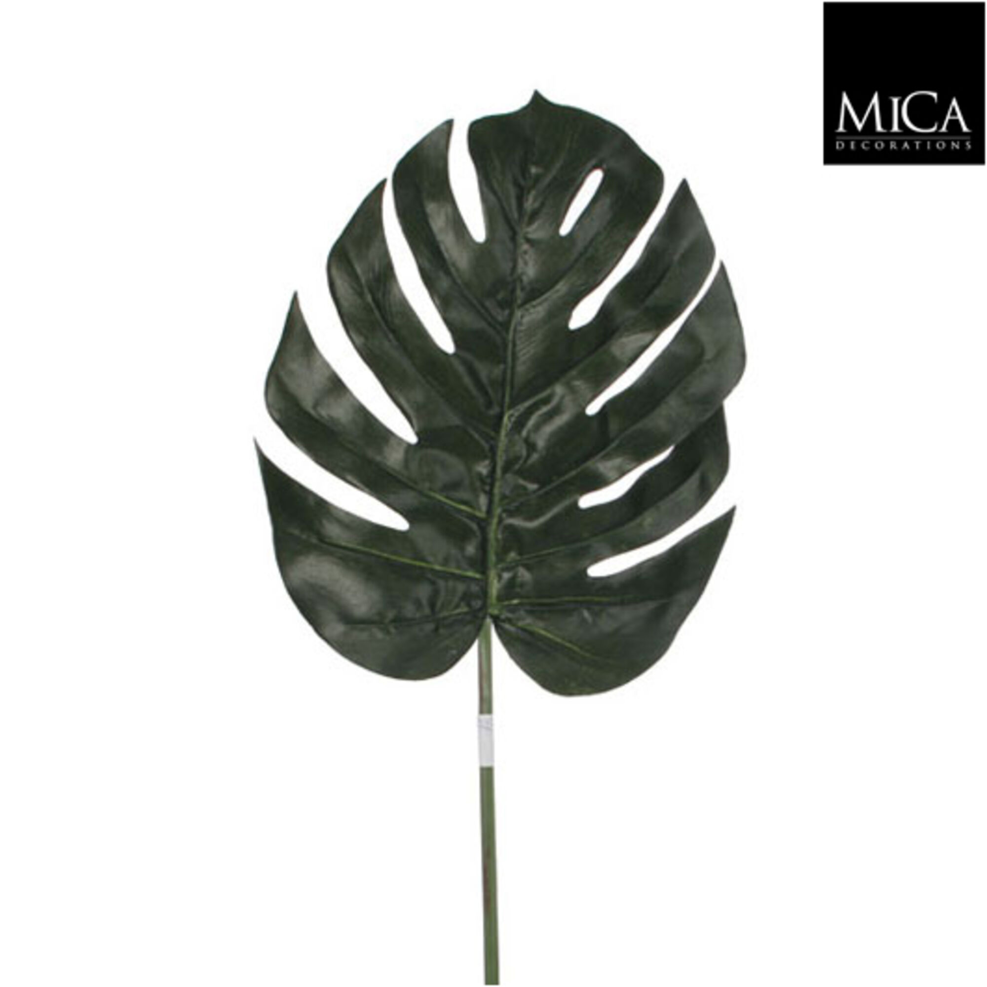 Monstera blad groen