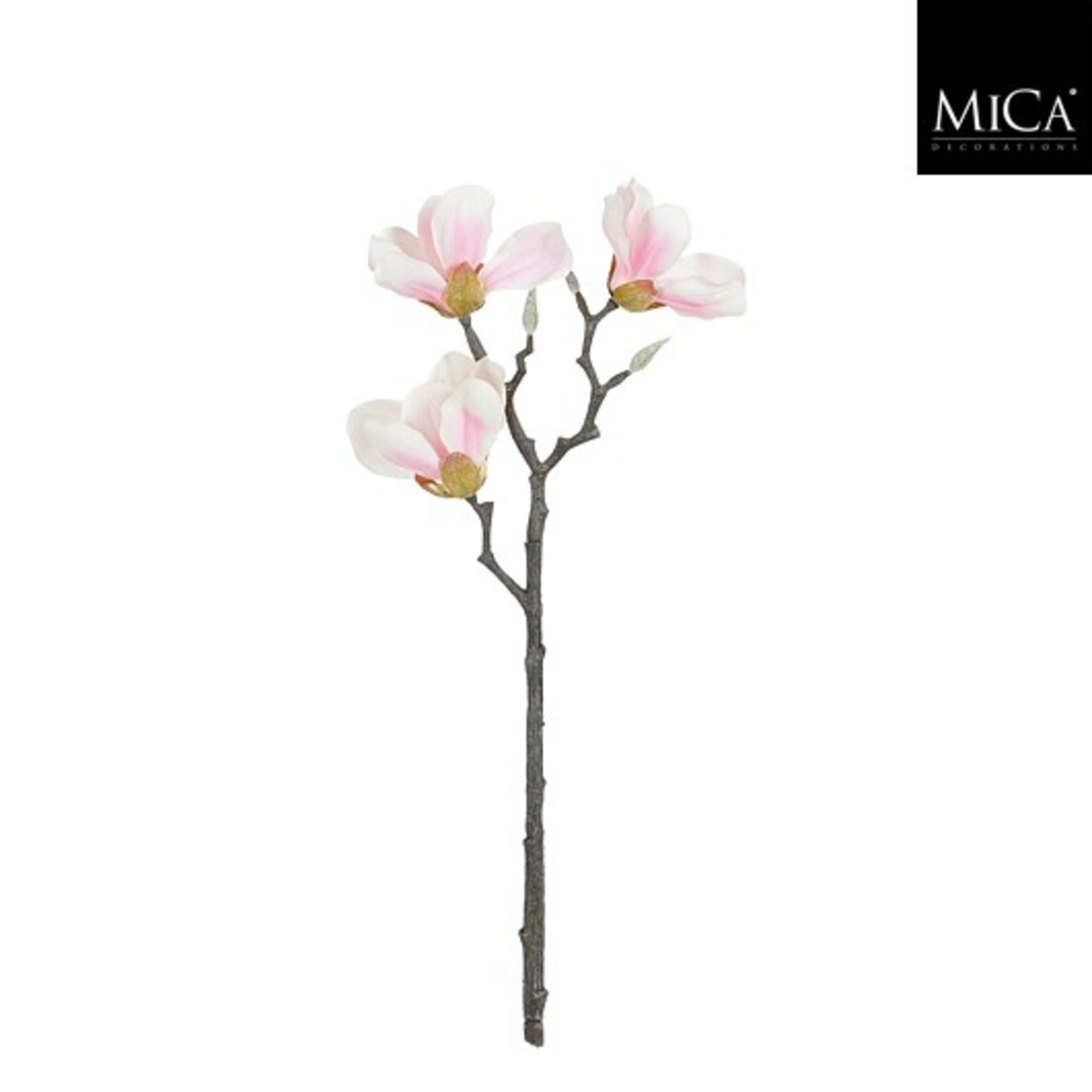 Magnolia tak roze