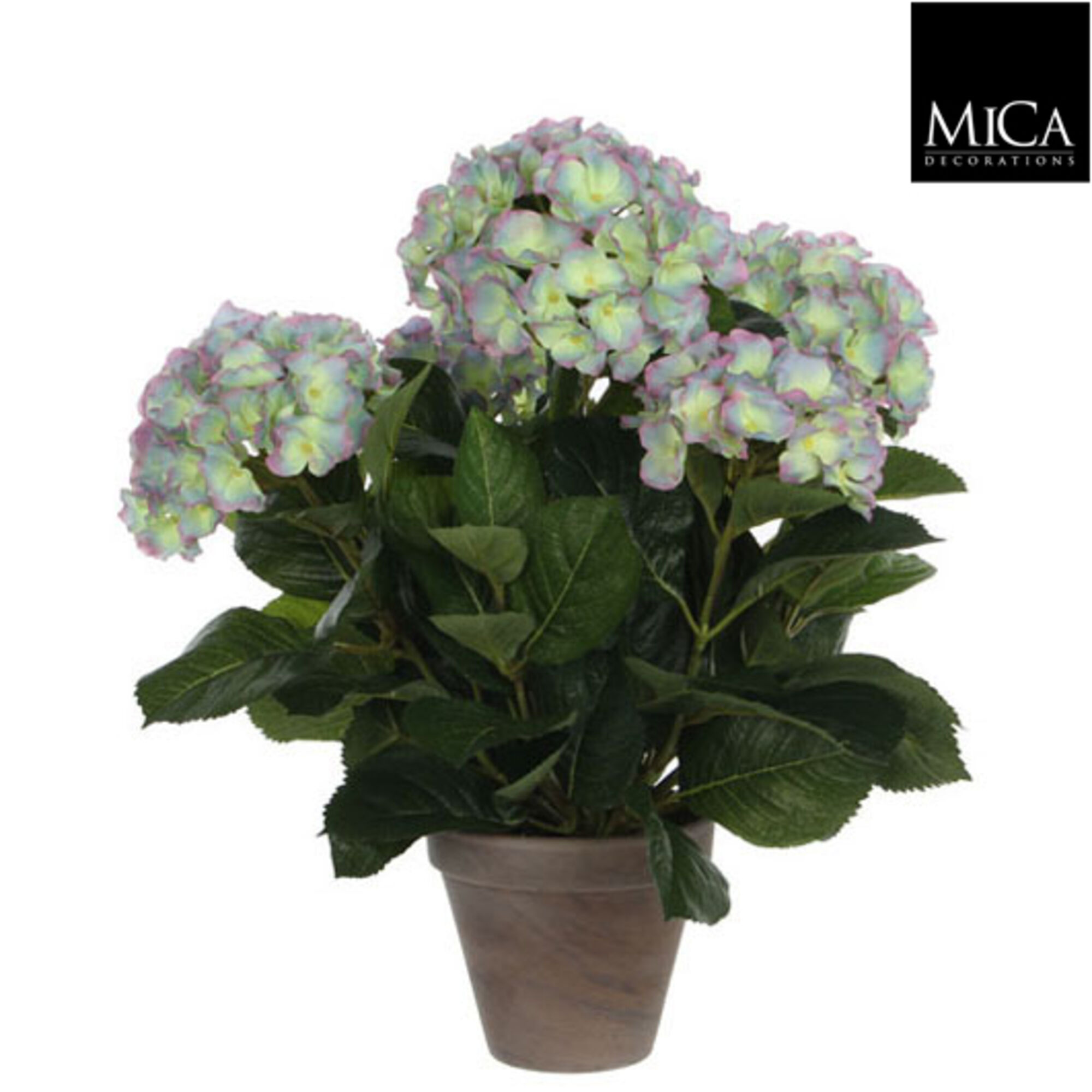 Hortensia l.paars in pot Stan grijs d13,5cm