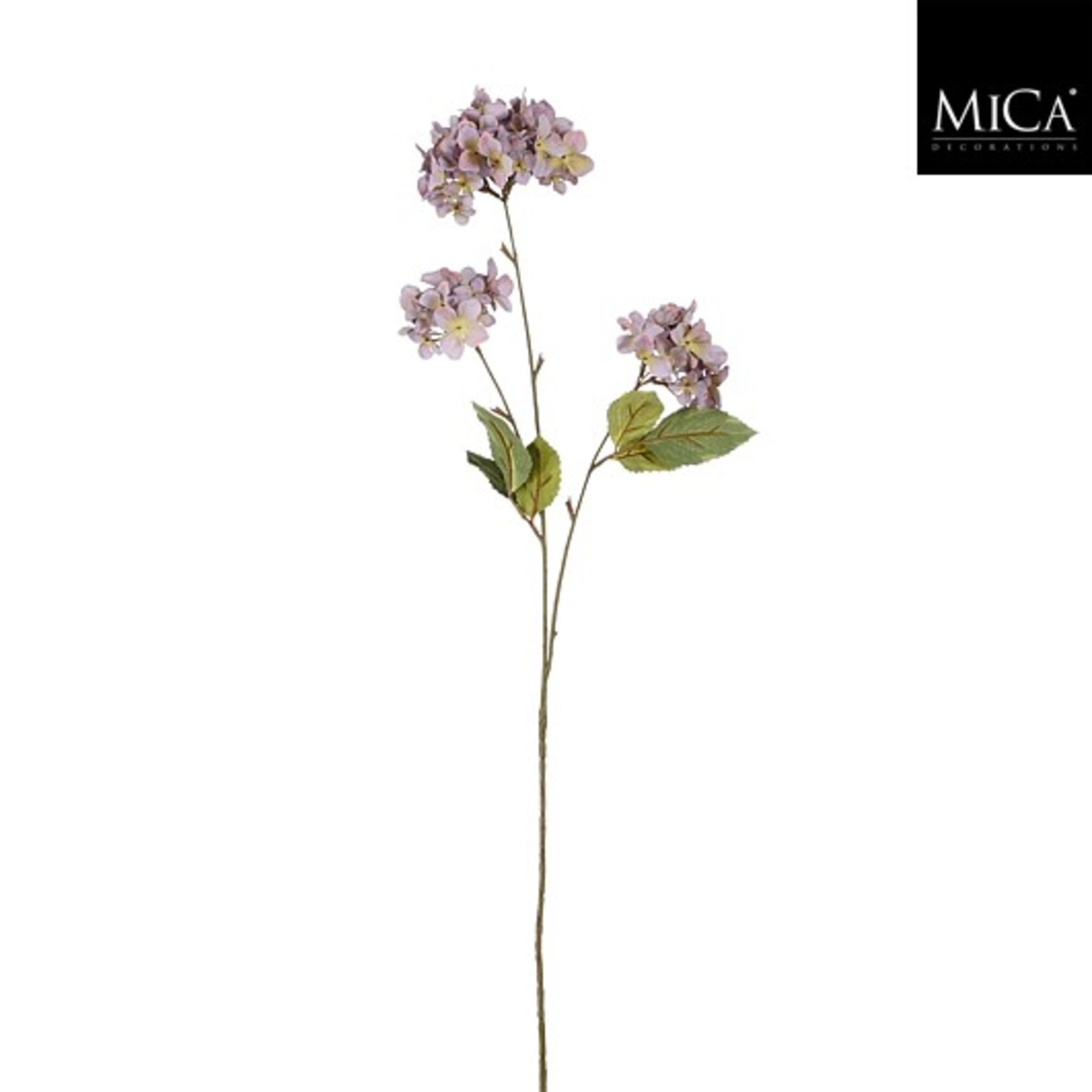 Hortensia l.roze