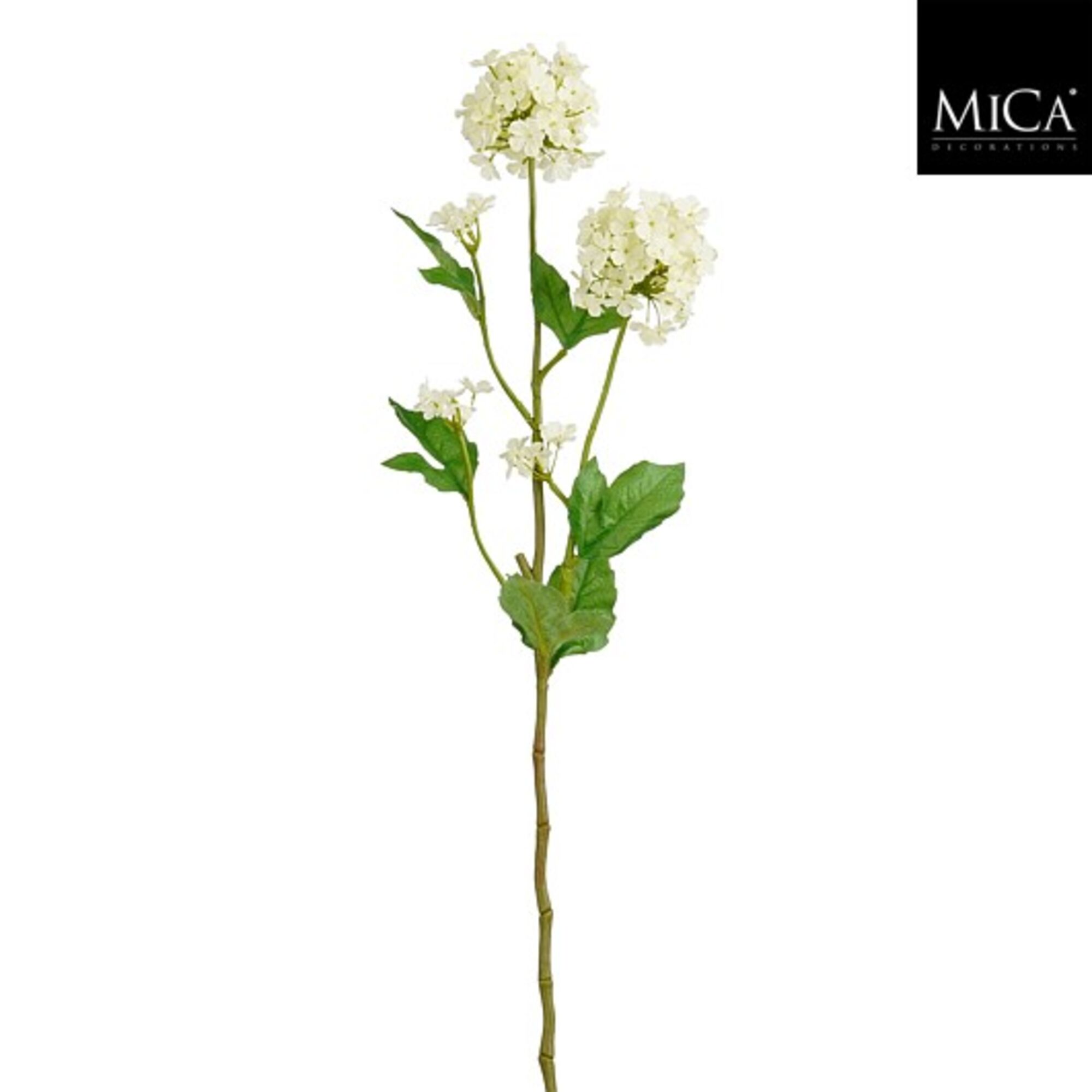 Viburnum creme