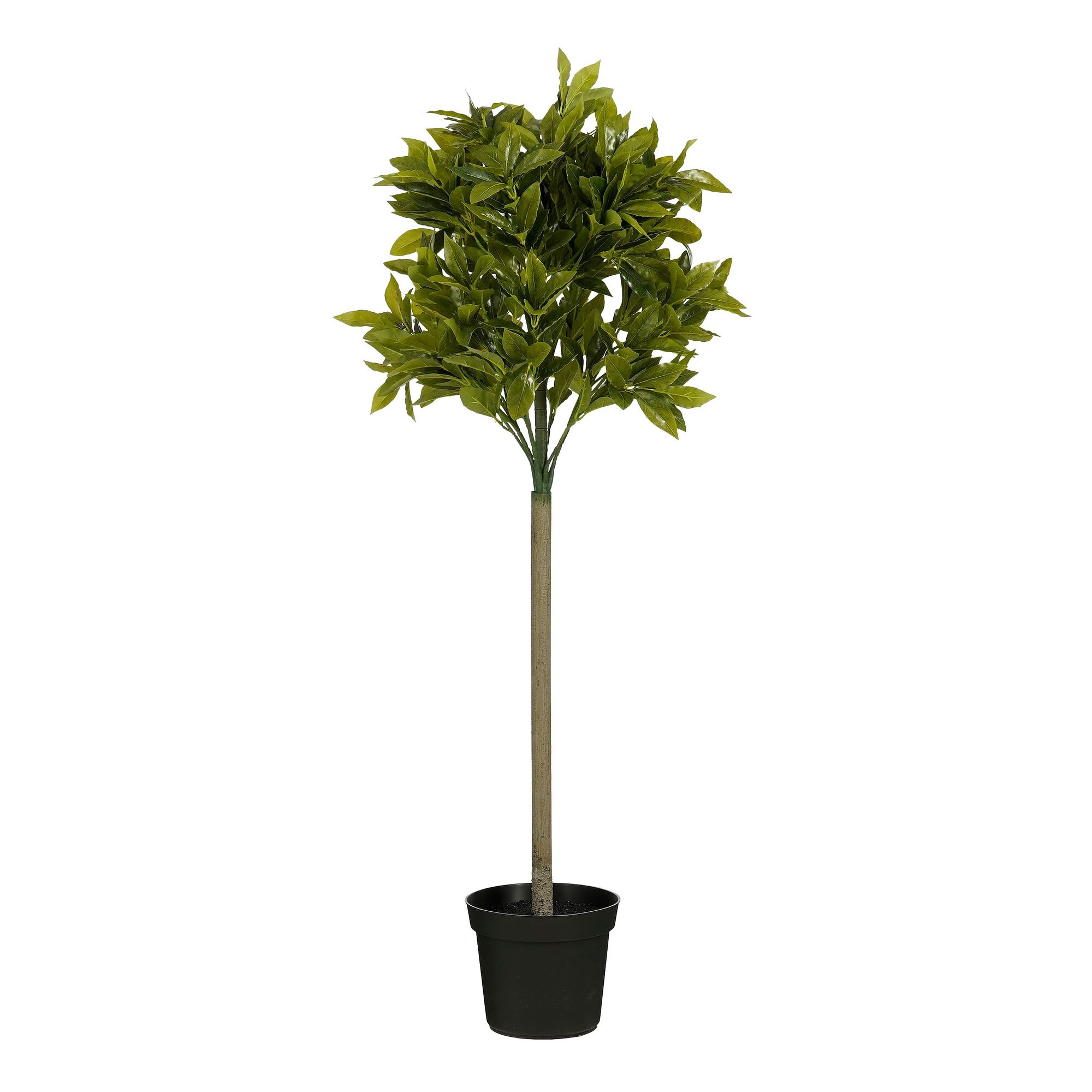 Laurier boom groen waterproof & UV resistant