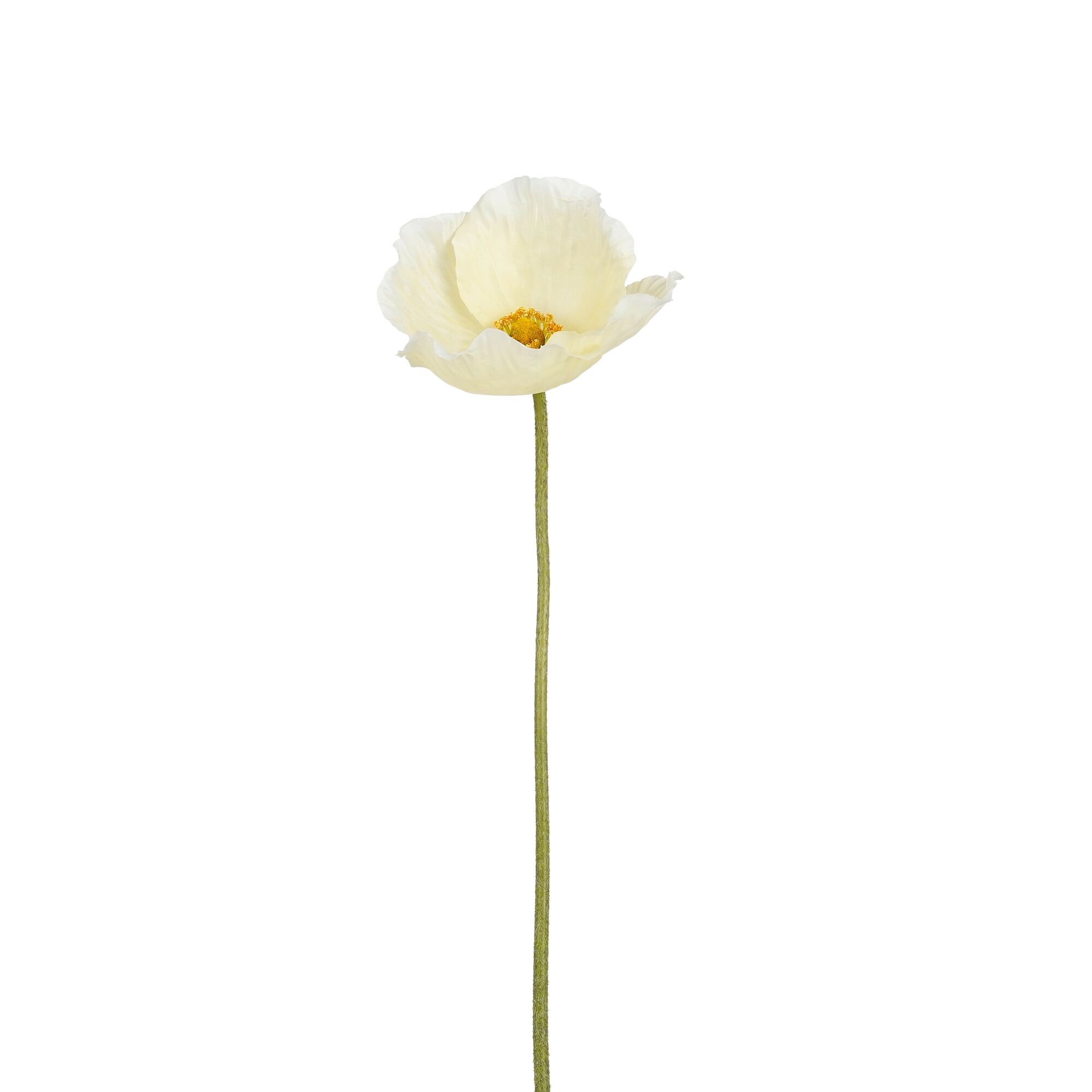 Klaproos geel