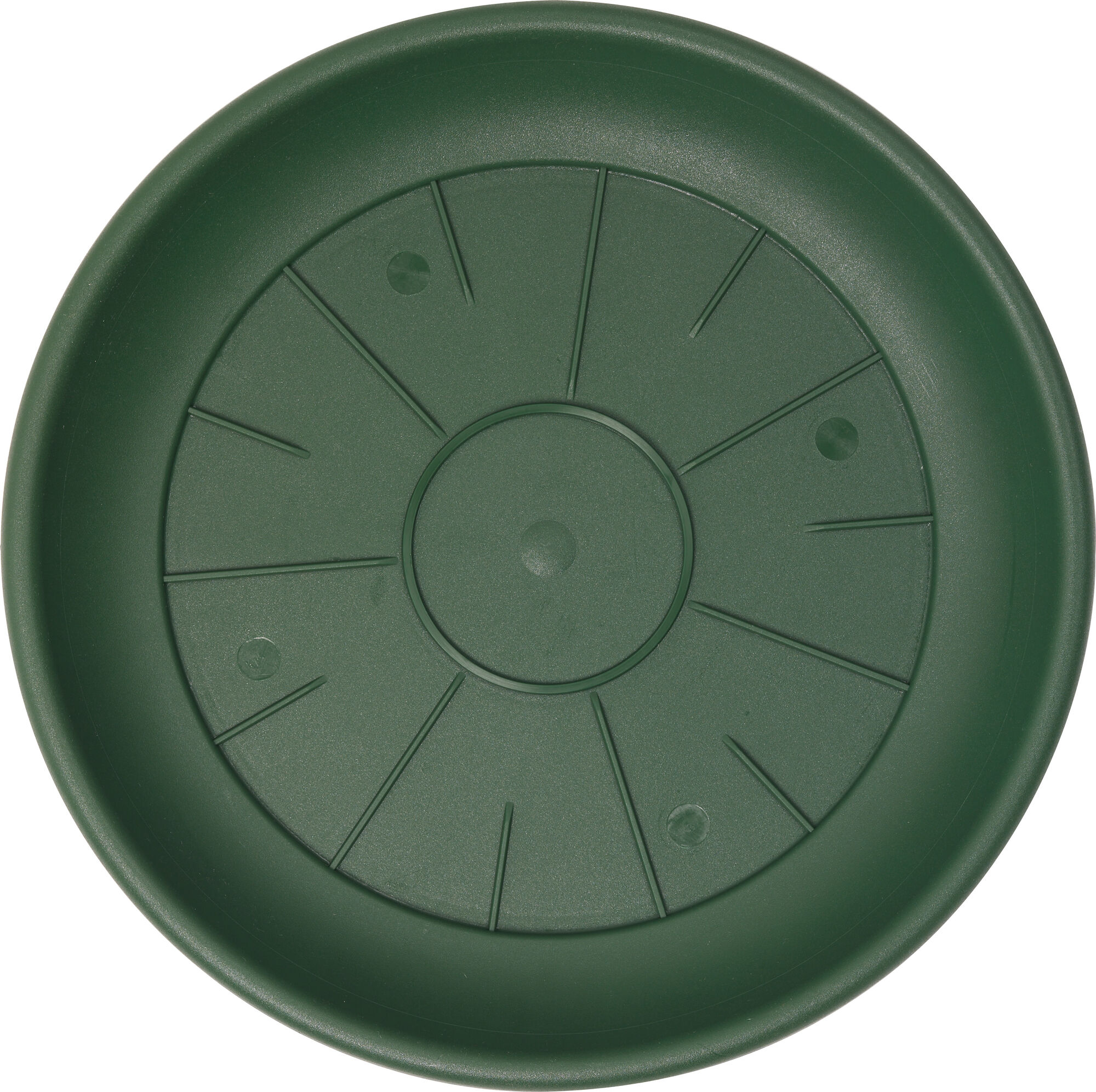 Ø 24 cm - Waterschotel Domus