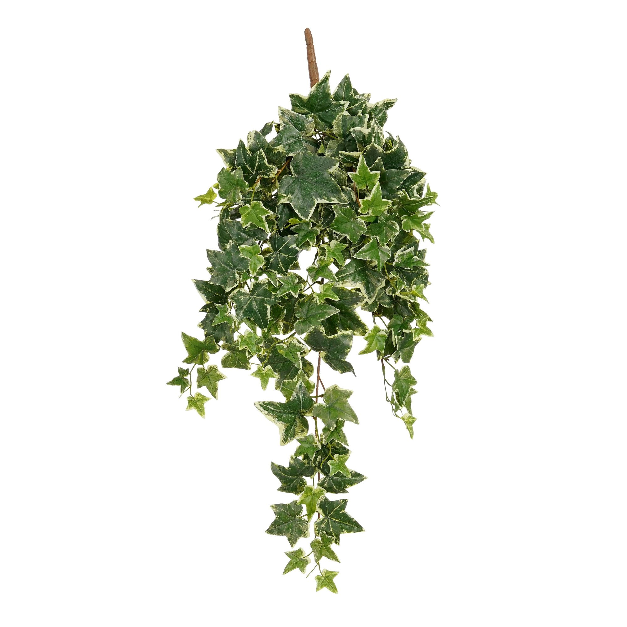 Hedera hangend groen bont waterproof & UV resistant