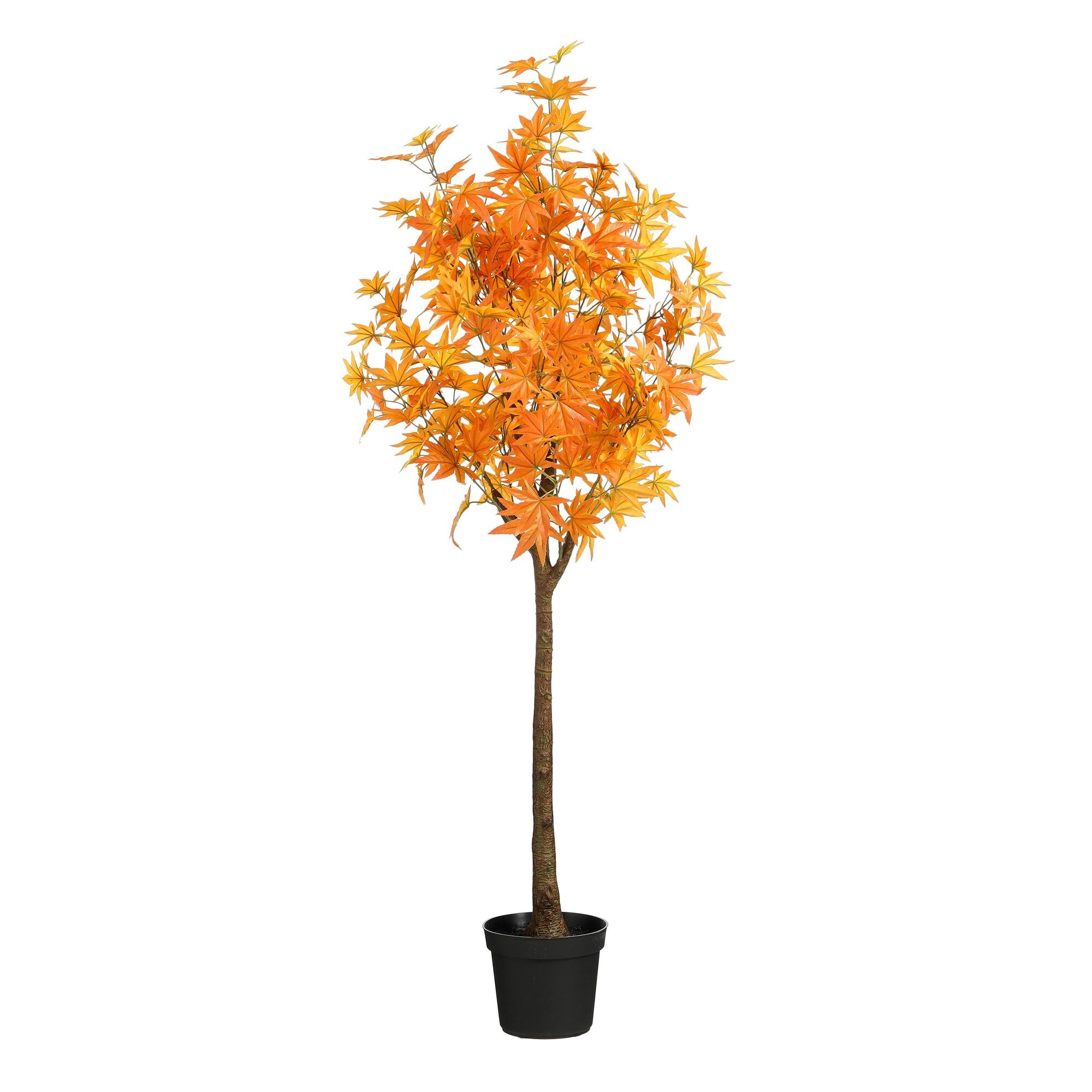 Esdoorn blad in pot oranje
