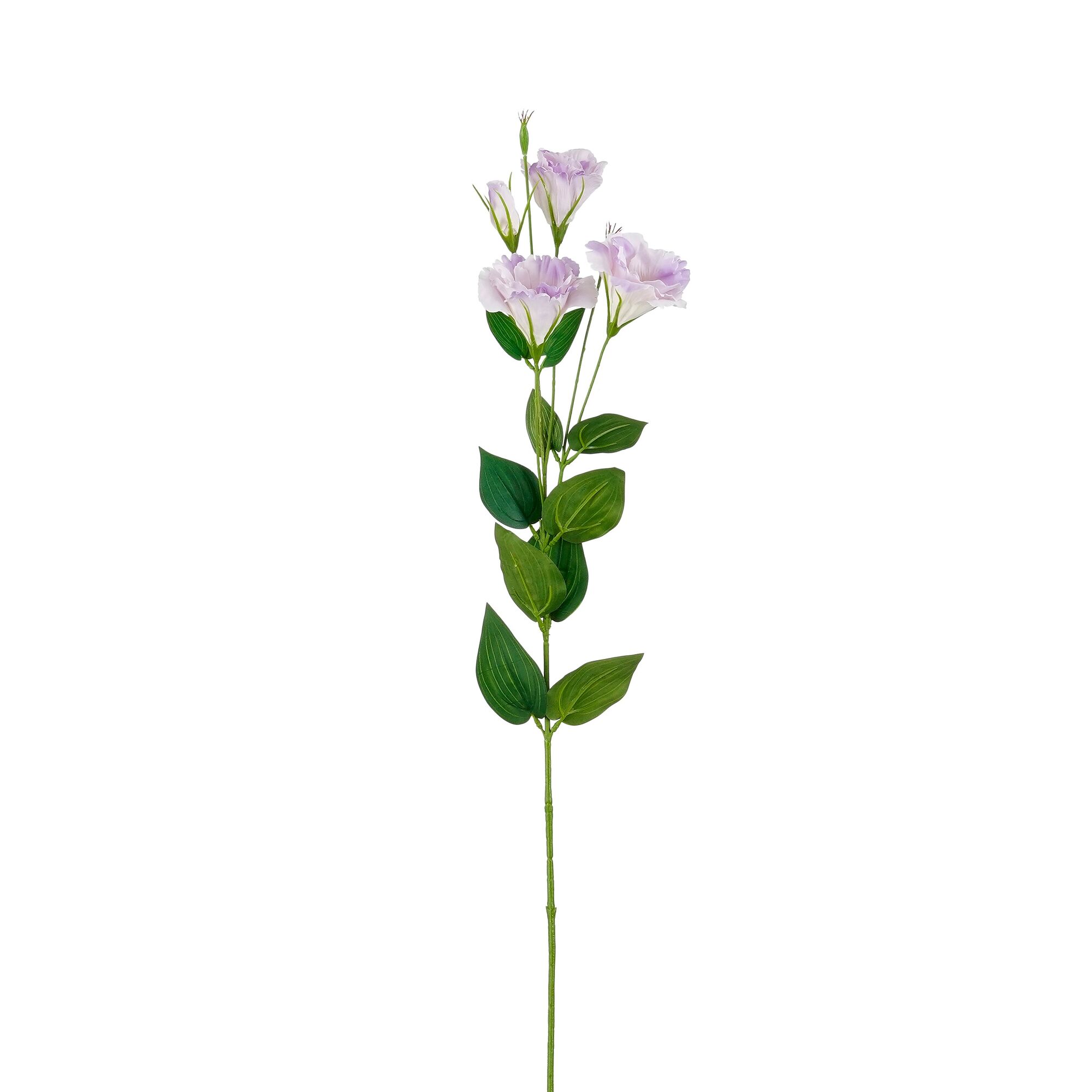 Lisianthus lila