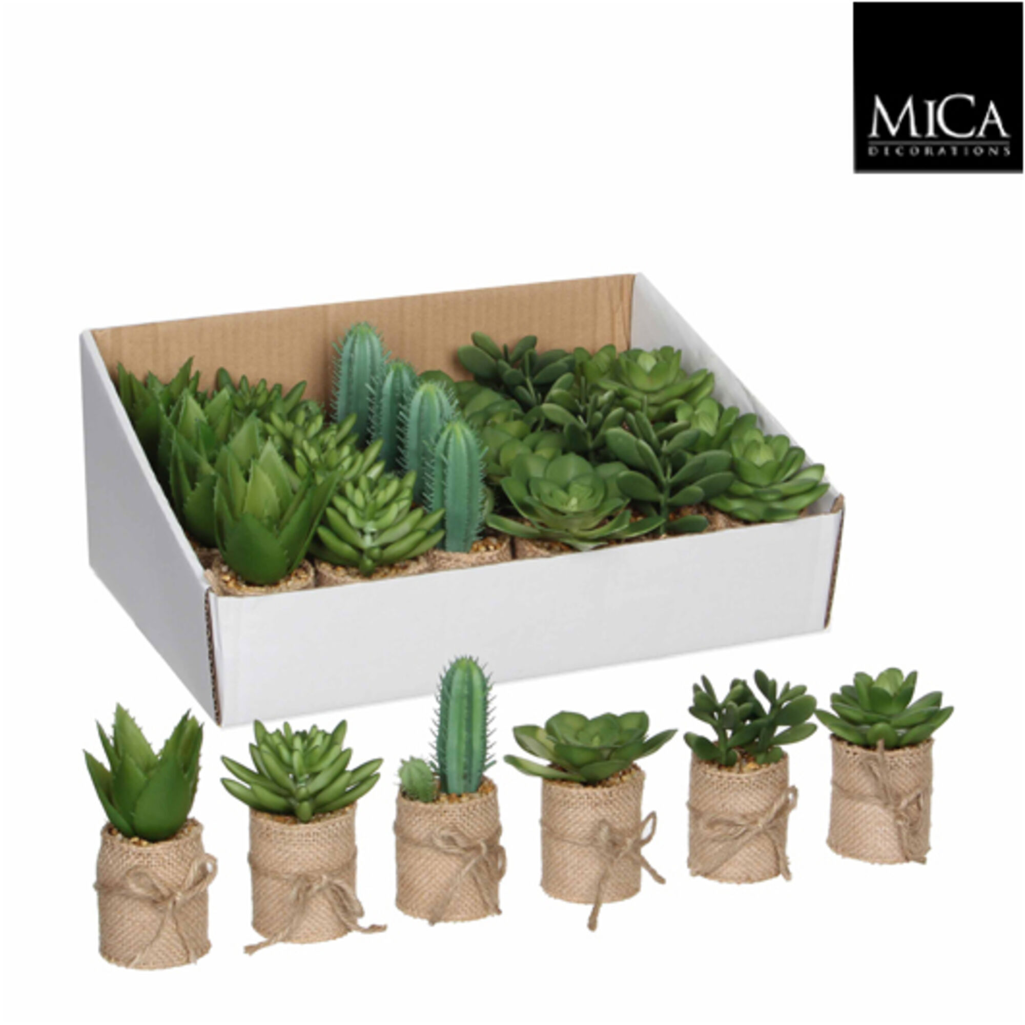 Vetplant in pot groen 6 assorti display