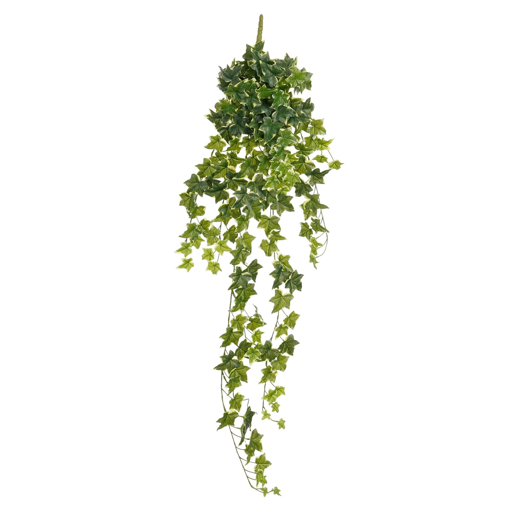 Hedera hangend groen bont waterproof & UV resistant