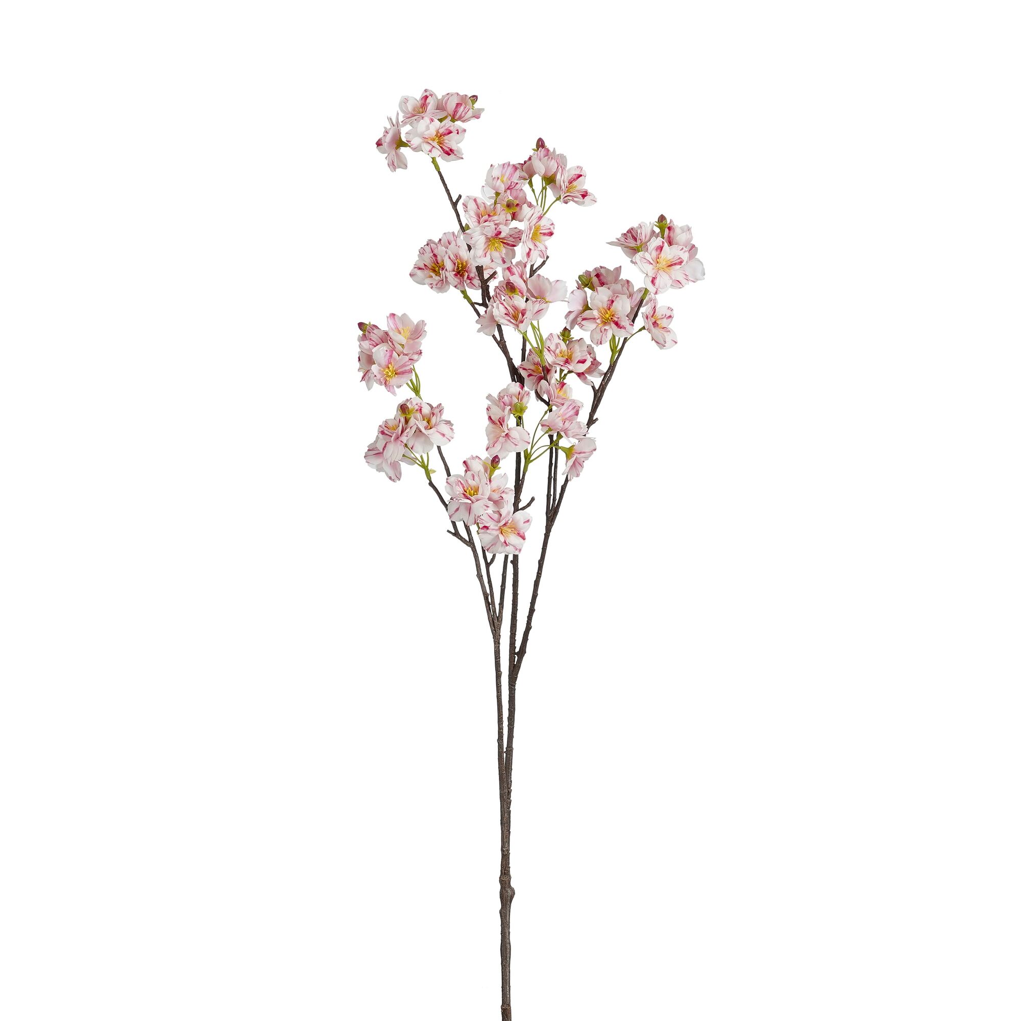 Bloesem tak l.roze