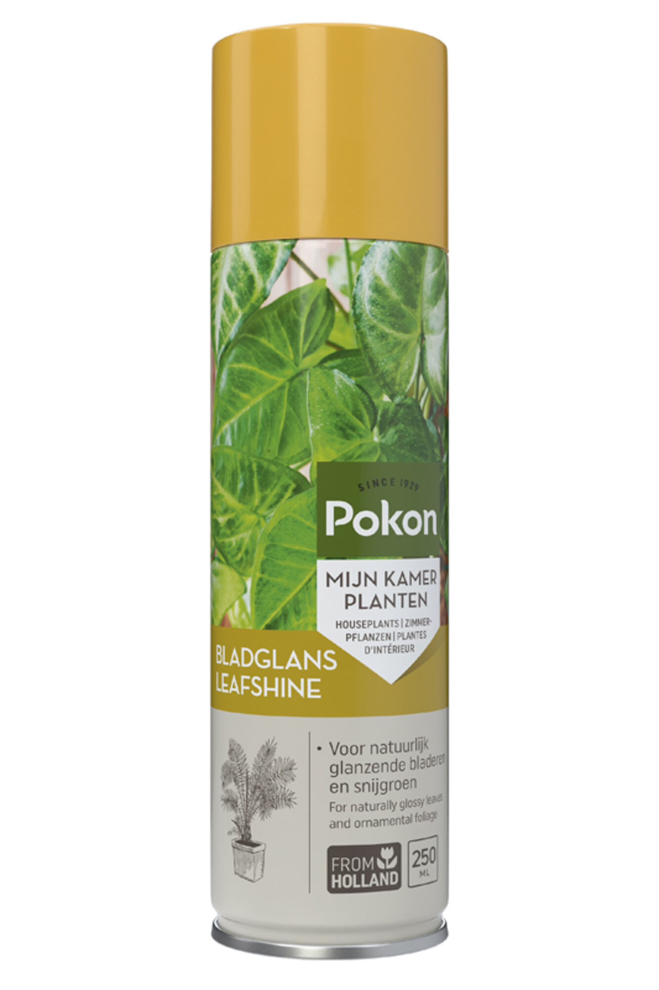 Pokon Bladglans