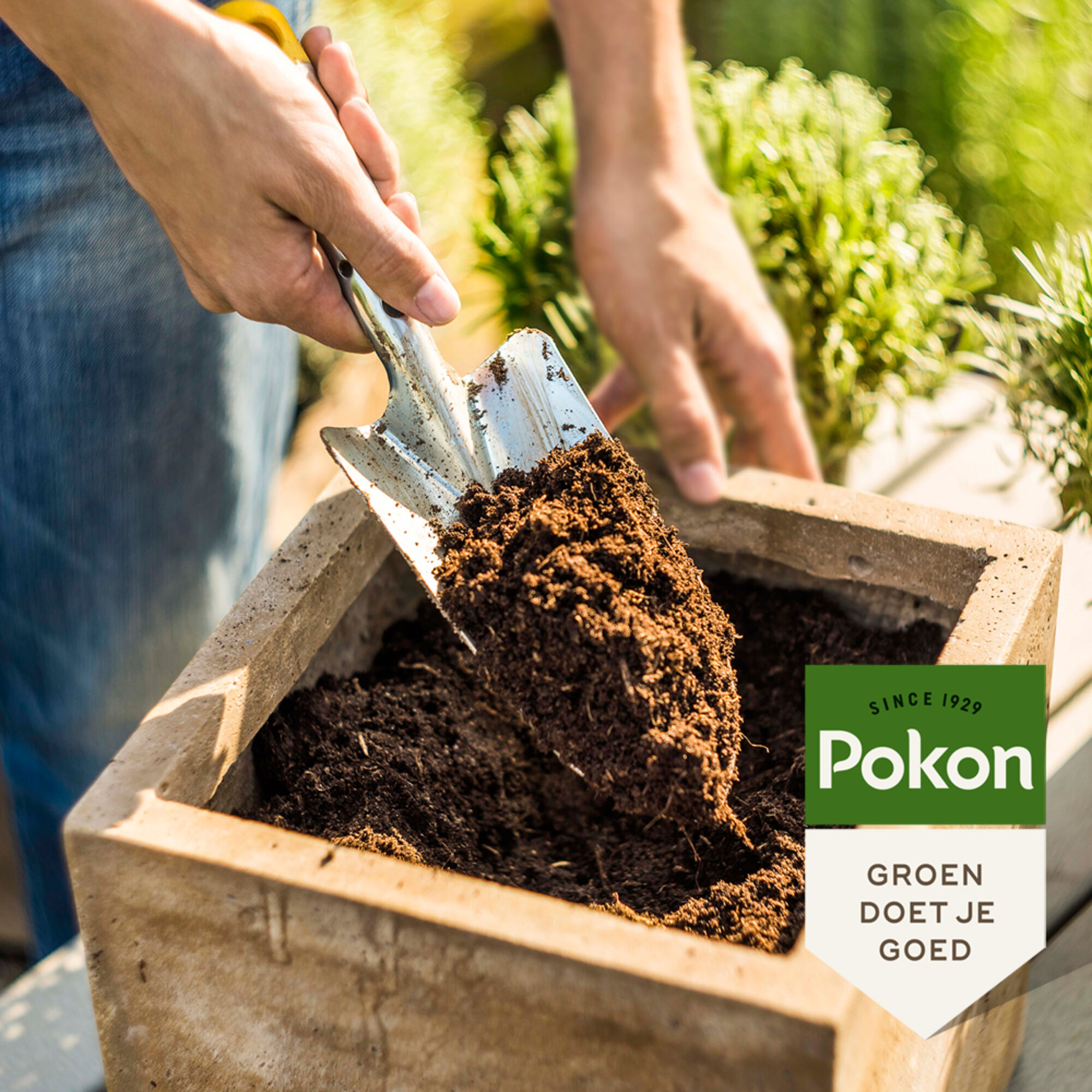 Pokon Kamerplanten Potgrond Compact
